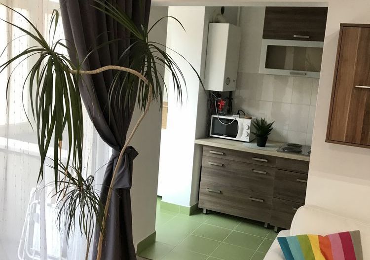 Apartament 1 camera cu nisa de dormit - Poză 4