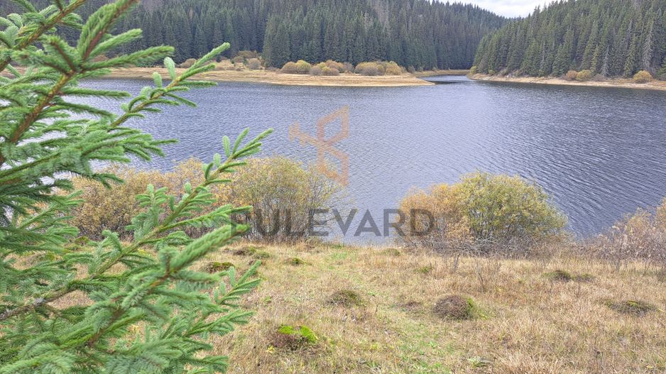 Proprietate unica! Teren generos cu iesire la lac! - Poză 2