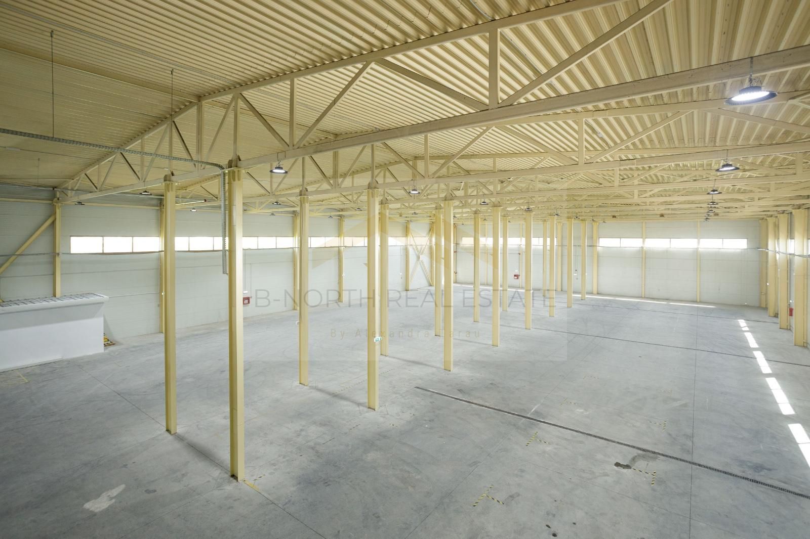 Hala industrială 2.000 mp • Depozitare / Producție • Rampe încărcare • Otopeni - Poză 1