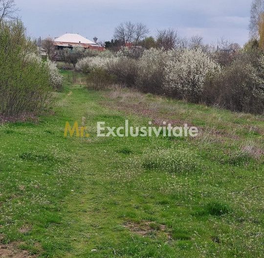 Teren Topoloveni - 3670 mp - langa padure, aproape de Centrul orasului - Poză 3
