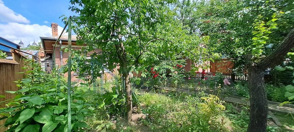 Teren 366 mp cu construcții în zona centrală a Iașului, acces direct din stradă - Poză 2
