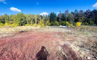 Teren Intravilan 2.472 mp în Hidișelul de Jos, front stradal 26 ml - Poză 3