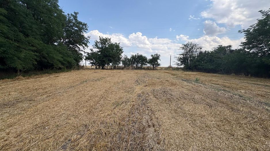 Teren intravilan 2580 mp - Hagiesti - Poză 3