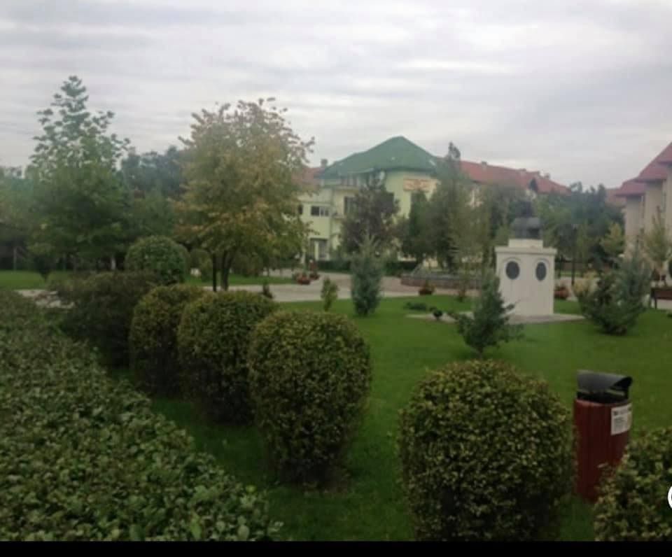 Vilă spațioasă de vânzare – Snagov, Ghermănești - Poză 14