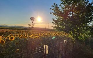 Casă cu teren intravilan 6.900 mp și extravilan 950 mp, Miroslovești, Iași, ieșire directă E85 - Poză 1