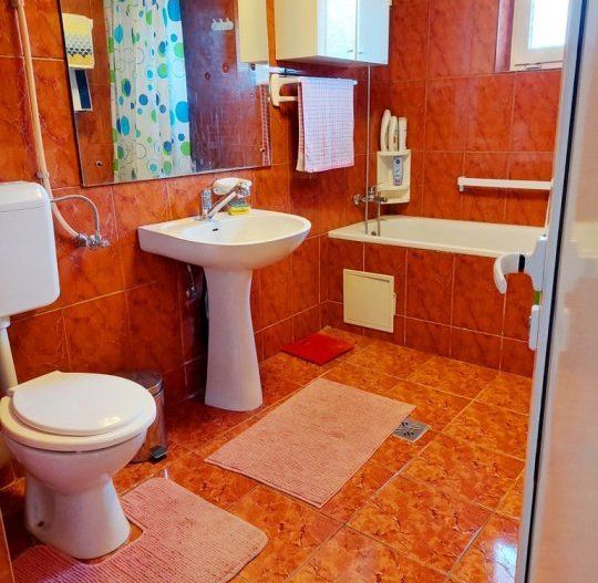 Snagov Primarie apropiere lac - Poză 4