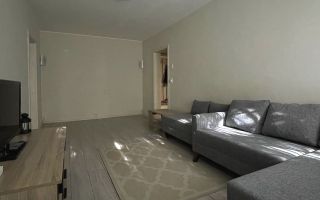 De inchiriat apartament cu 2 camere PET FRIENDLY , Emil Racovita - Poză 2