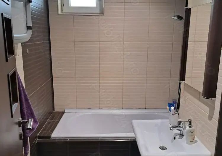 Apartament Fabrica de Gheata/Lacul Plumbuita - Poză 4