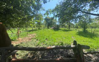 VILA 5 CAMERE, TEREN 4520 MP, LERESTI, ARGES - Poză 18