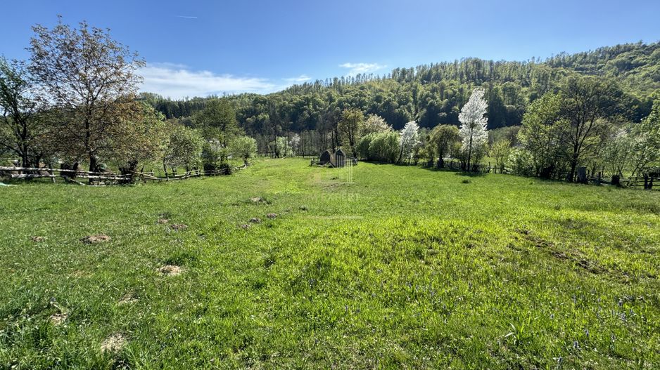 TEREN INTRAVILAN 2592 MP,  ALBESTI DE MUSCEL, ARGES - Poză 1