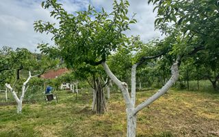 Casa spațioasă în Oradea str Izvorului - Poză 15