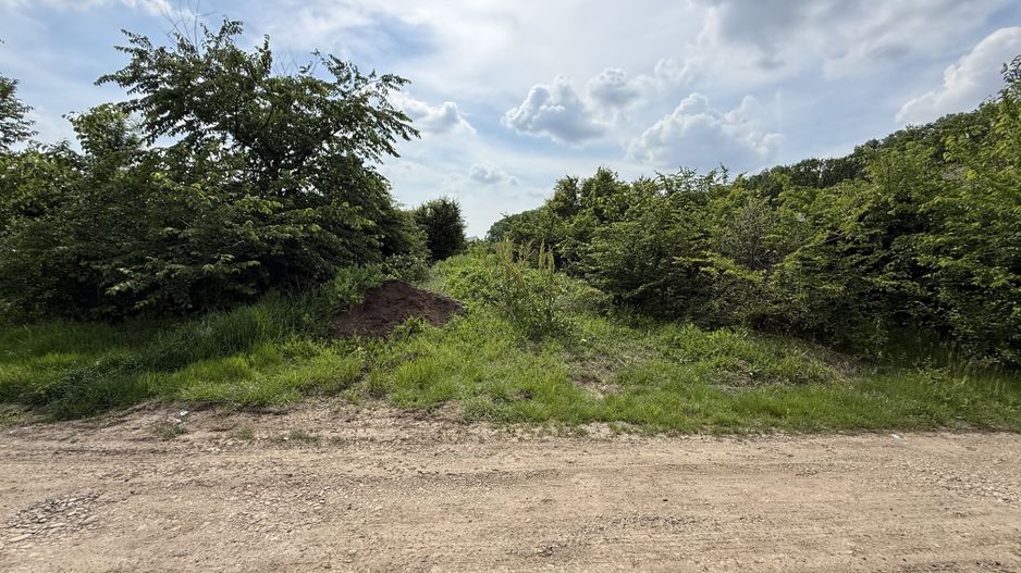 Teren intravilan 498,02 mp langa pădure , strada privata Corbeanca - Poză 2