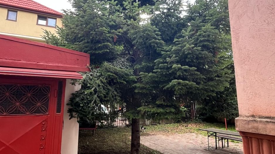 Apartament 3 cam in vila Domenii Casin | Curte proprie | Garaj 2 locuri - Poză 20