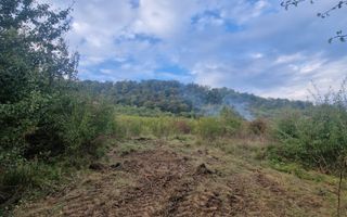 Teren de vanzare Jelna | 40 ari | Extravilan - Poză 1