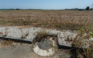 Dragomiresti Valea - Langa Centura, teren 15.000 mp, 28E/mp - Poză 5