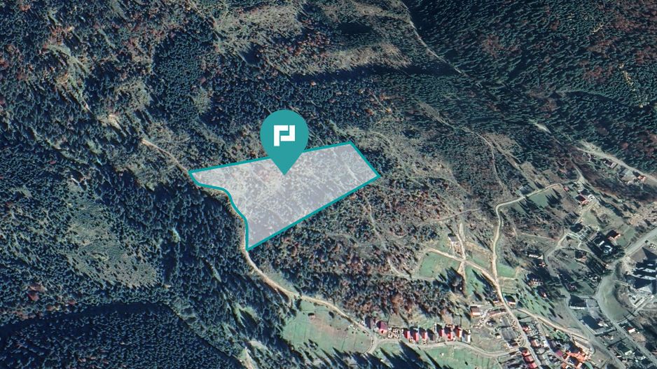 Teren 36000 mp, Borsec - Poză 2