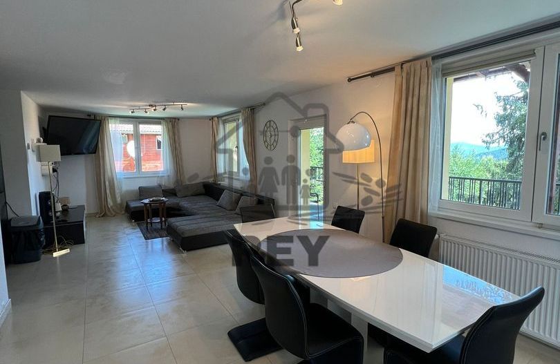 Casa/Vilă/Pensiune/GustHouse de închiriat Păltiniș - Poză 1