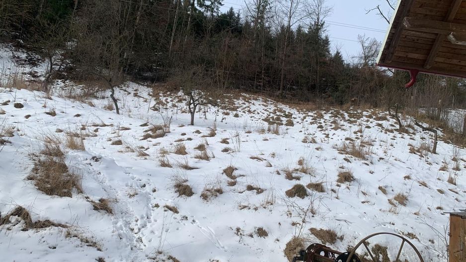 Casă P+E+M Putna | 300 mp utili | Teren 2.200 m - Poză 6