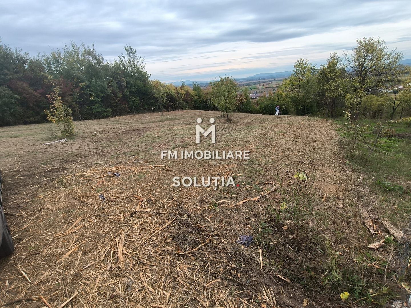 Teren intravilan de vânzare – 14 ari – Buzești – 25 minute de oraș - Poză 2