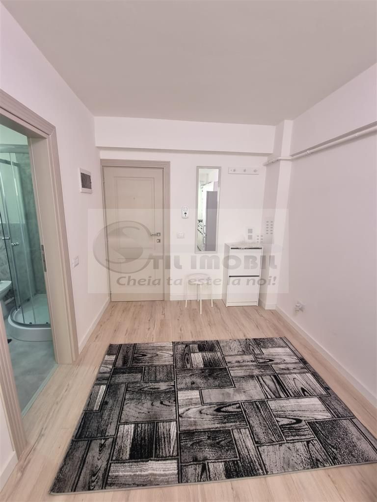 Apartament 1 camera Bucium-300Euro - Poză 8