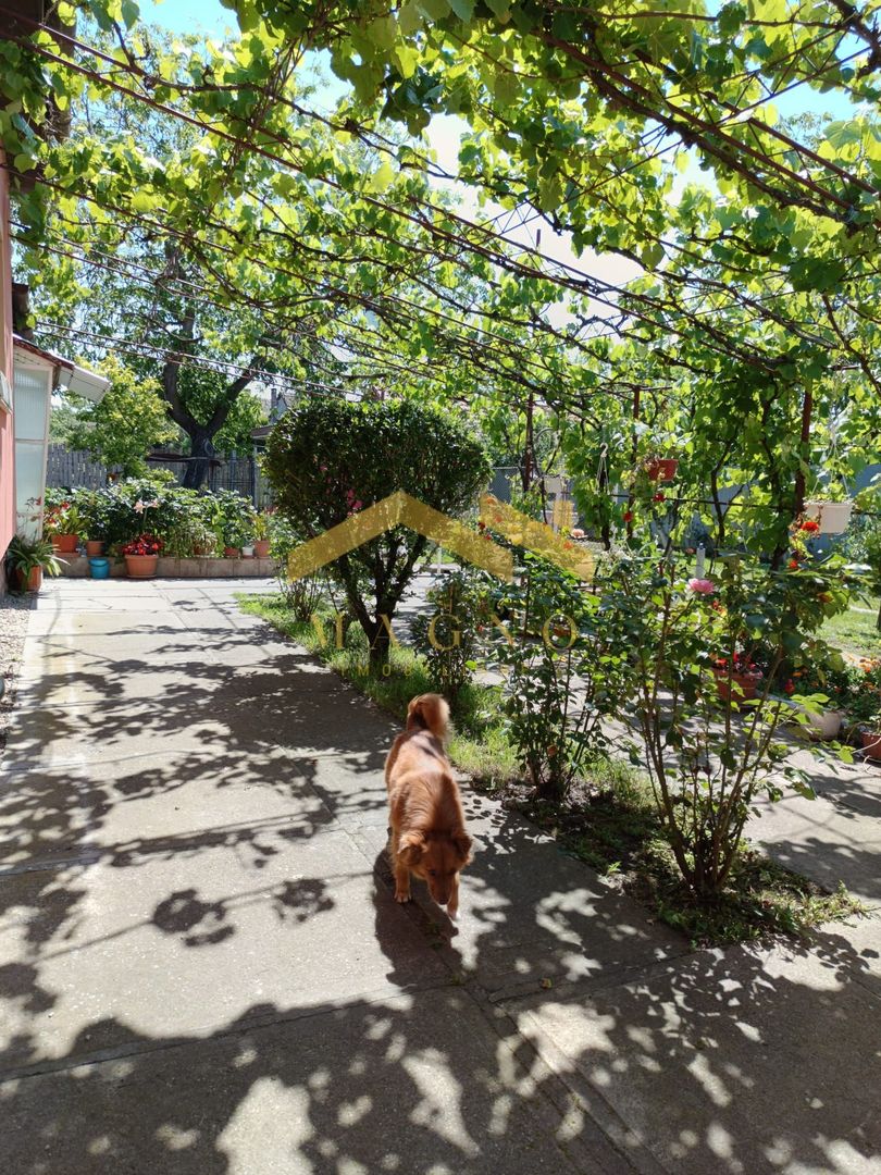 Casa de vanzare in Vladimirescu in zona primariei. - Poză 50