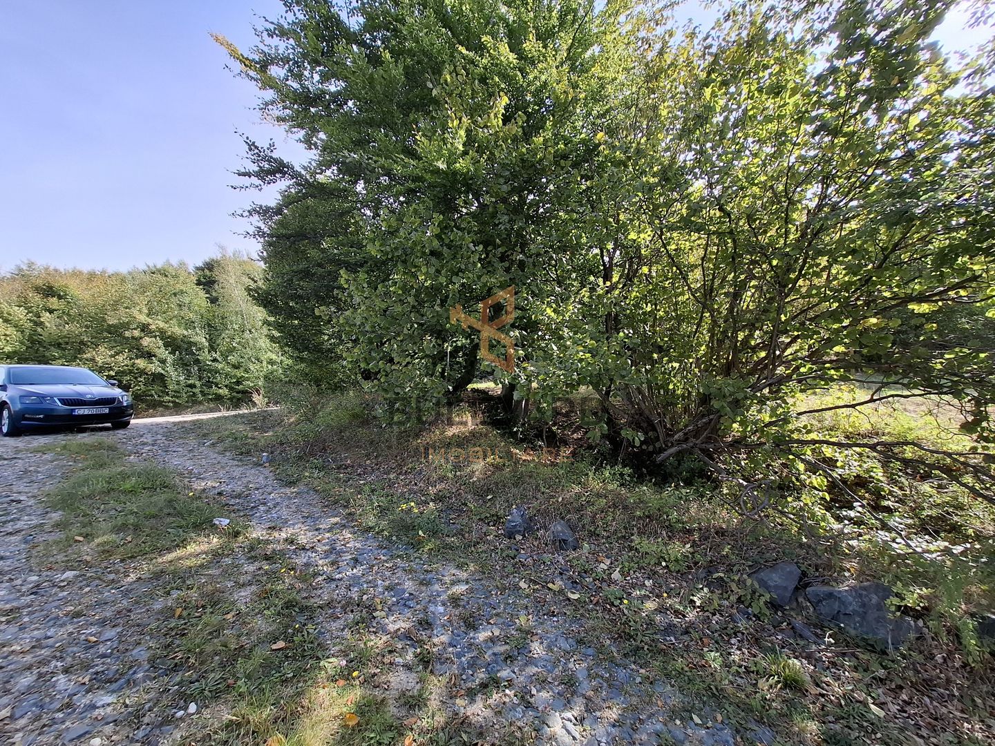 Comision 0. Teren cu autorizatie de construire in Salicea - Poză 6