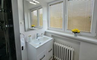 Închiriez apartament 4 camere, nemobilat, Unirii - Poză 6