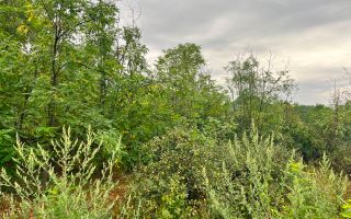 Vânzare, teren pentru construcție 5. 79 ari, str. Pădurilor,  Buneți - Poză 4