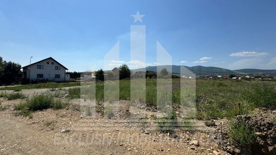 Teren intravilan | 3250 mp | 19.7 ml deschidere | Alba-Micesti - Poză 2