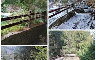 **VANDUT** Casă, Gărâna, munții Semenic, la doi pași de Scenă - Poză 8
