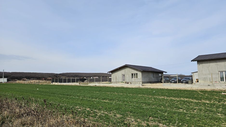 Teren intravilan 882 mp, Smeura - Hintesti - Poză 2