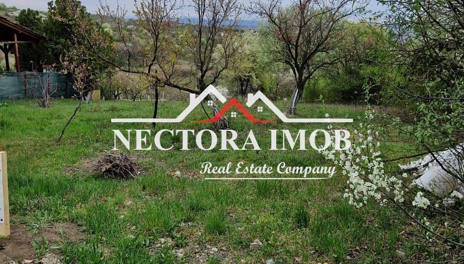 NECTORA IMOB-Teren Zona Podgoria,3400 mp (Intravilan + Extravilan) - Poză 5