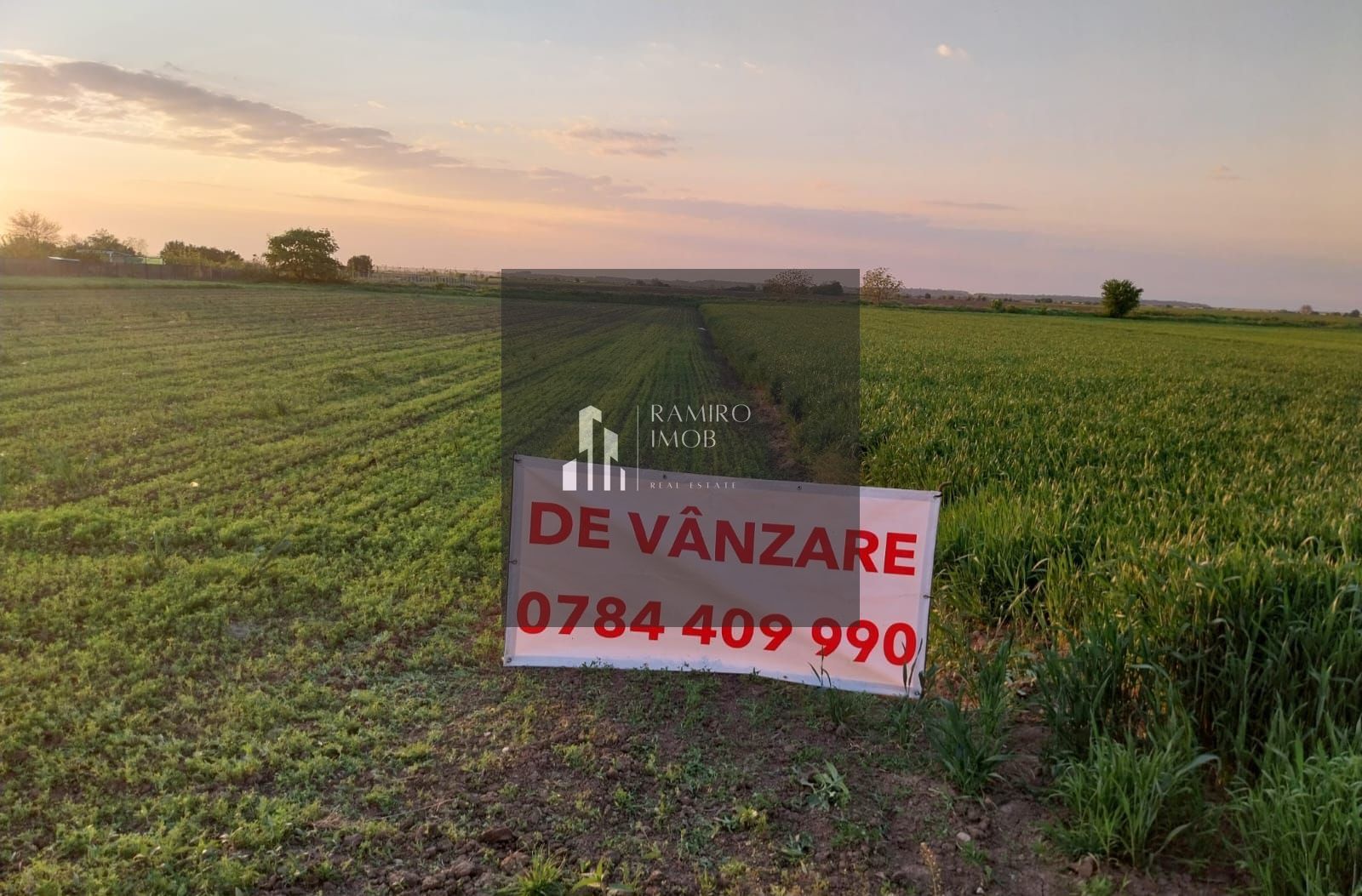 DÂRZA - TEREN INTRAVILAN - Poză 4