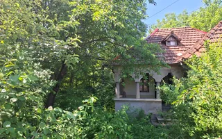 Teren generos în Cornu de Jos – 3.470 mp, deschidere 36,88 ml - Poză 13