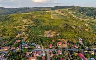 Teren pe deal, 1.150 mp, în Miniș, front 26 m, Drumul Vinului - Poză 3