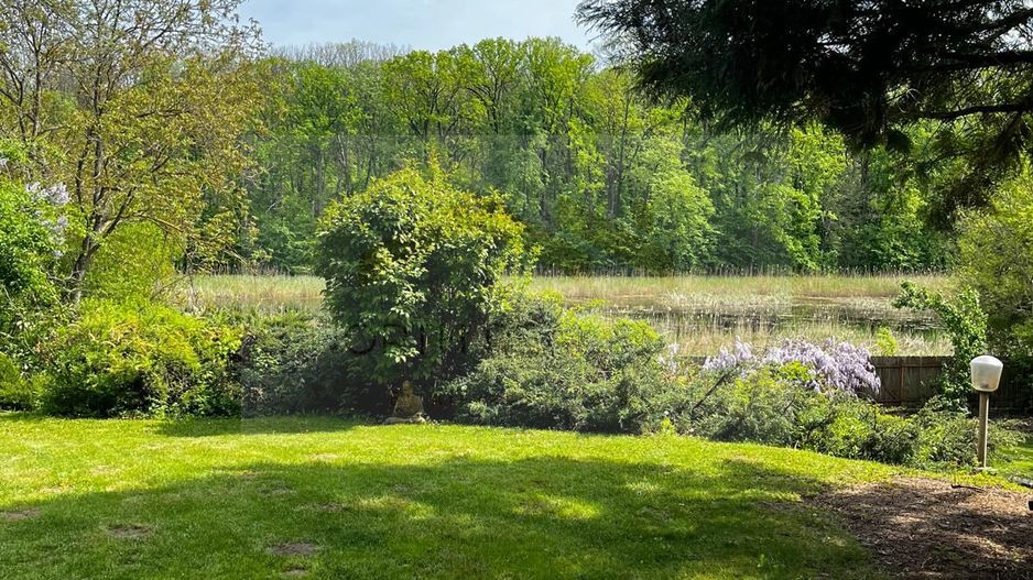 Reședință exclusivistă cu deschidere la Lacul Scroviștea - Poză 1