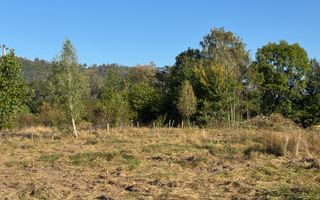 TEREN INTRAVILAN, CAMPULUNG,  2691 MP - Poză 16