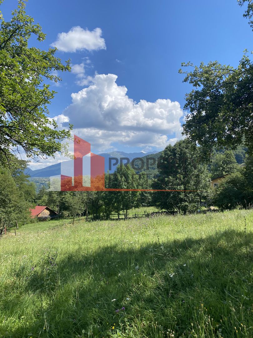 Teren cu livada Bran/ Predelut - Poză 13