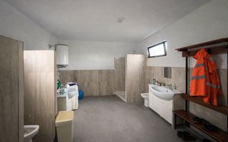 | HALĂ SPAȚIOASĂ | DE ÎNCHIRIAT | FRĂTĂUȚII | JUDEȚUL SUCEAVA | - Poză 6