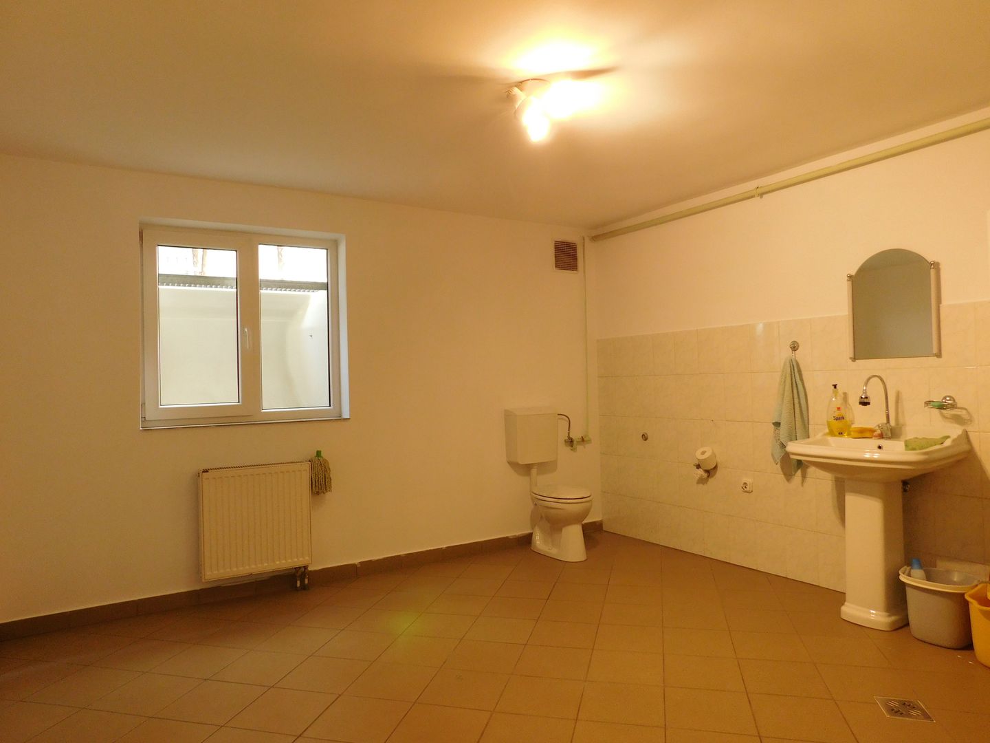 Vilă spectaculoasă de închiriat, parcare 10 locuri, Grădina Botanică - Poză 21