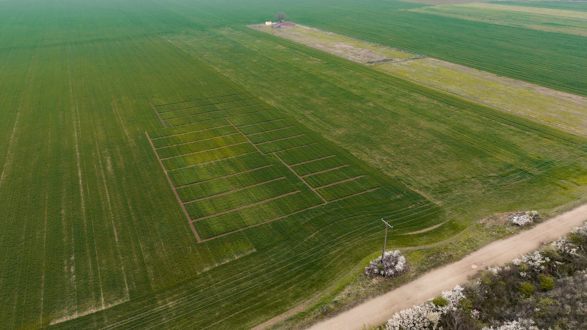 Teren dezvoltare bloc P+2E+M Giroc PUZ aprobat - Poză 10