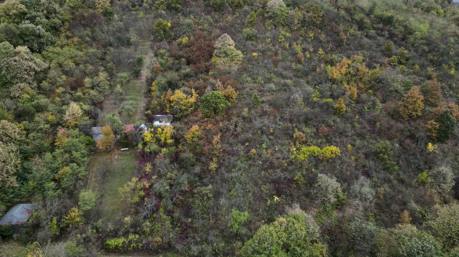 Teren 18,300mp Ghioroc - Poză 9