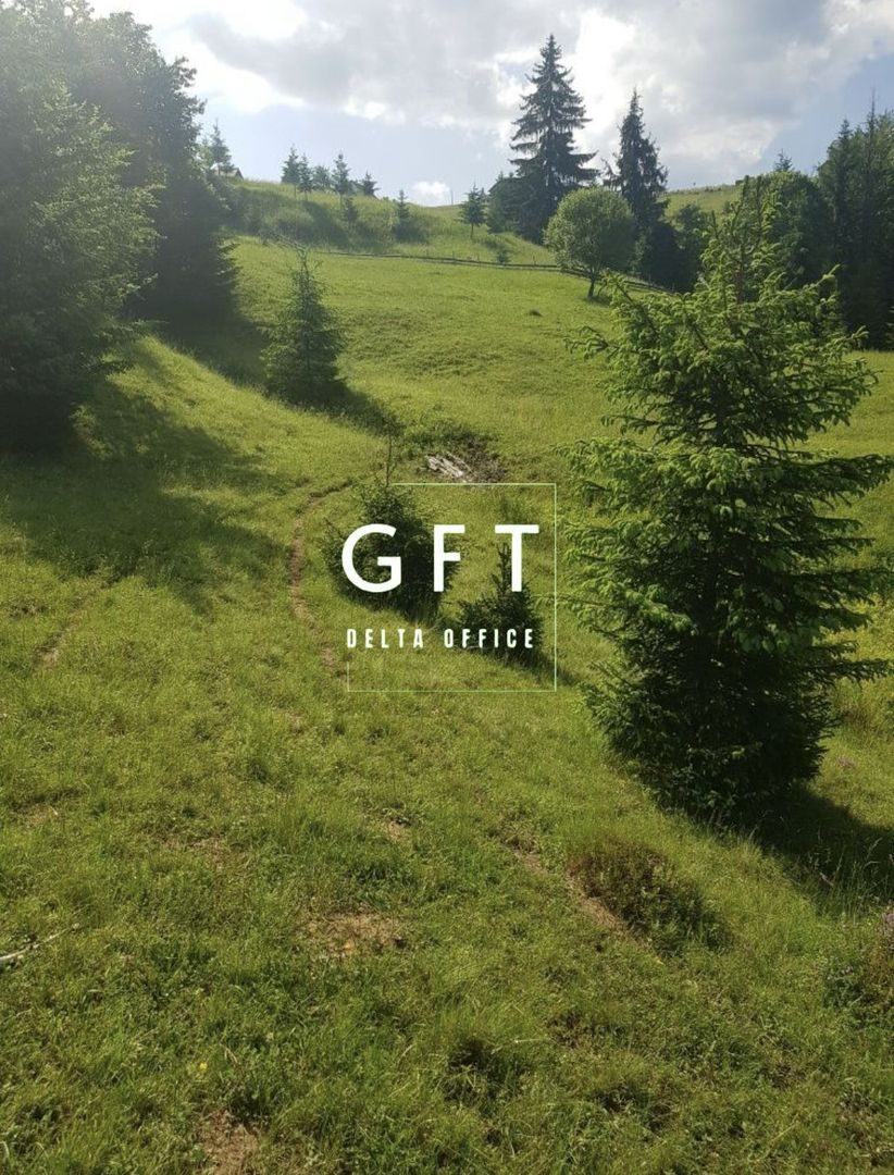 TEREN+PADURE, PASUL TIHUTA - Poză 1