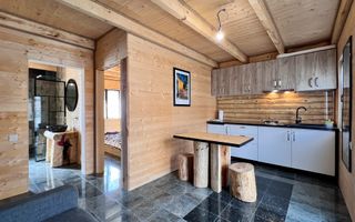 Apartament 1 camera in regim hotelier, Casa TIMIS - Poză 5