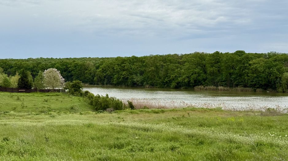 Teren intravilan de 1000 mp în Grădiștea, Ilfov – ideal pentru casa ta - Poză 7