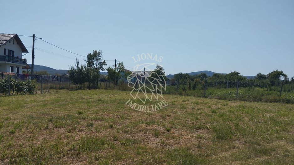 Casa 110 mp 7 incaperi-teren 3850 mp-anexa-Dorolea, 15 km de Bistrita - Poză 2