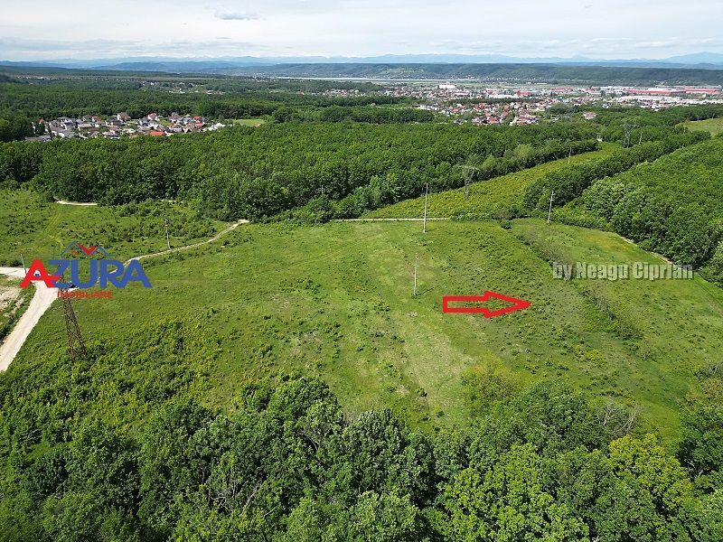 Vanzare teren Balotesti, la padure - Poză 9