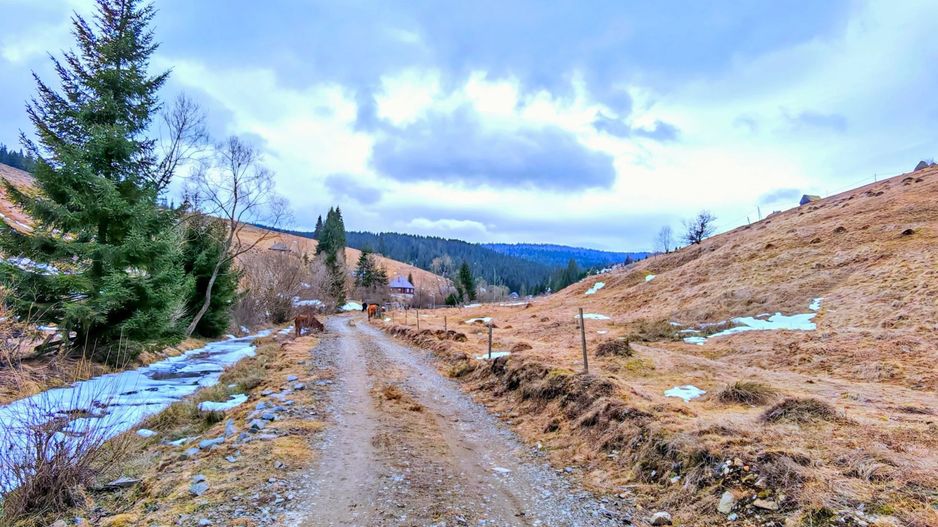 8.263 mp Teren cu Pârâu și Izvoare în Beliș-Fântânele, Cluj - Poză 1