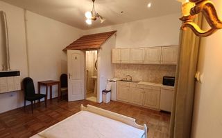 Garsoniera cu terasa proprie in vila interbelica | 20 mp + 16 mp terasa | Centru - Poză 6