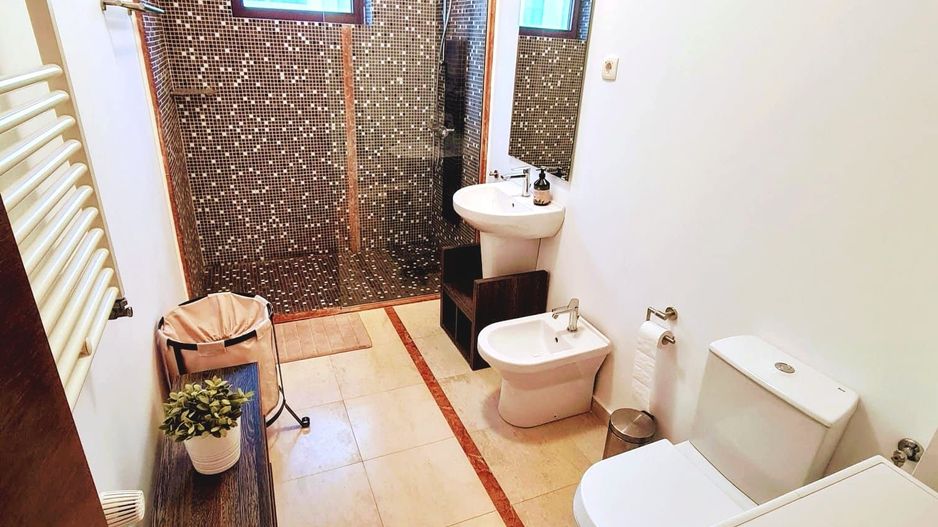 2 camere | Intrarea Catedrei | Parcul Herastrau | Aviatiei - Poză 12